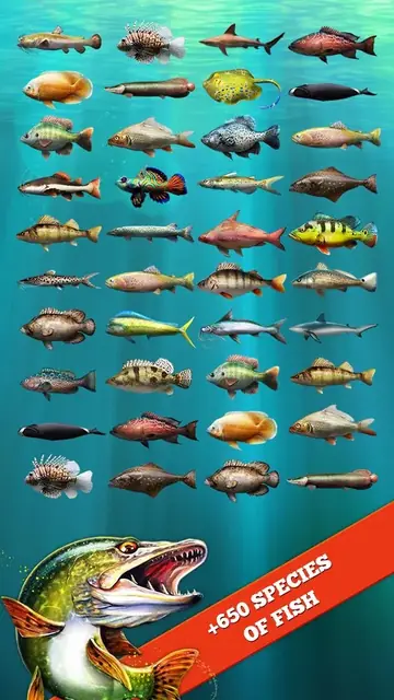 Let's Fish: en översikt över fiskarterna i spelet